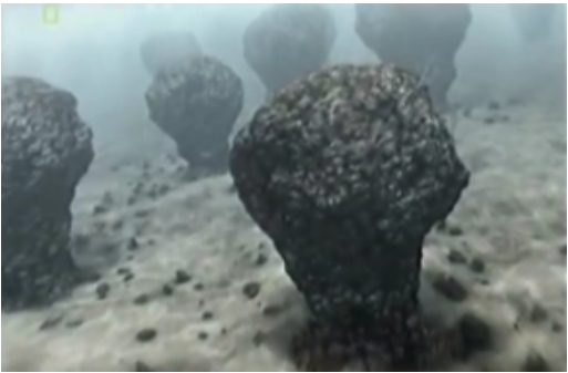 Pole stromatolitů na mořské mělčině. Nejstarší – již zkamenělé - se našly v zálivu Shark Bay v západní Austrálii. Kousíček této Austrálie se však v té době nacházel někde v tichomořské Mikronésii