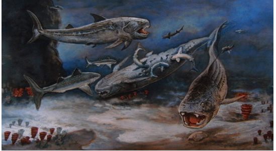 Dinichstis mezi žraloky