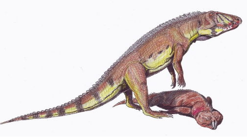 První ještěři z konce permu - budoucí vládcové Země po dobu více než dvě stovky let