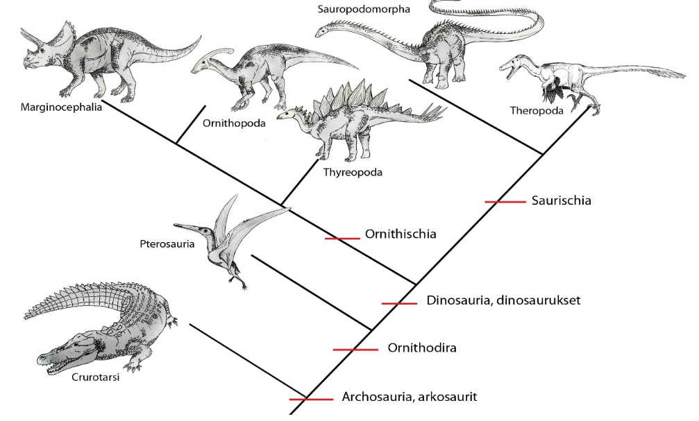 Schéma vývoje ještěrů a dinosaurů