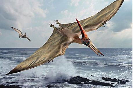 Nejznámější z ptakoještěrů - Pterodaktylus