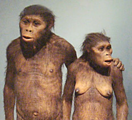 Australopithecus afarensis – přímý předchůdce druhu Homo, člověka