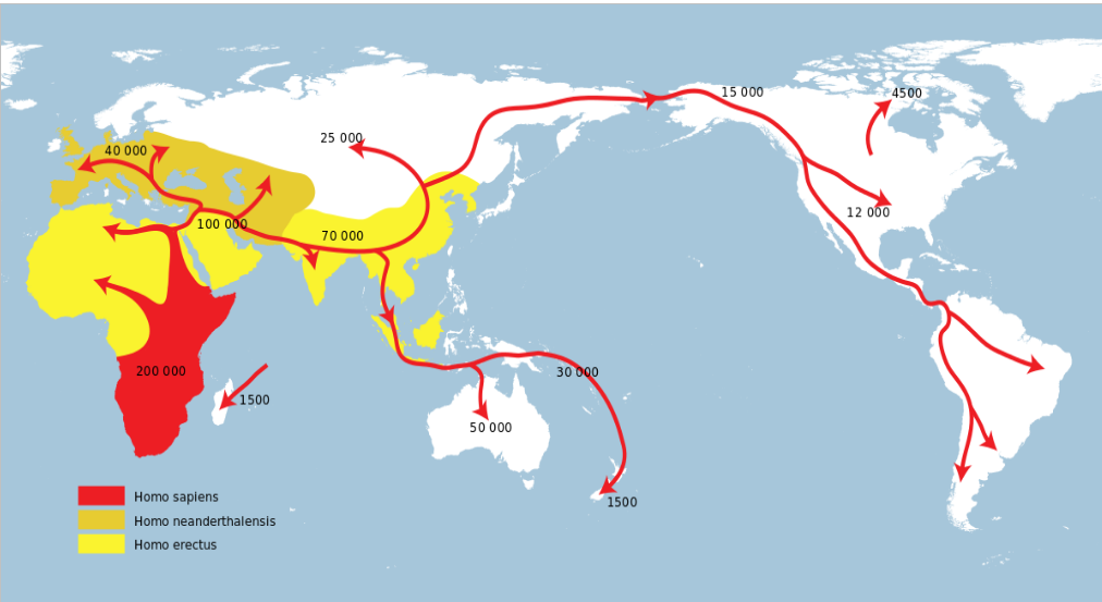 Jednoduché schémátko osídlování Země prvními lidmi Homo  sapiens. Čísla jsou v tisících let.