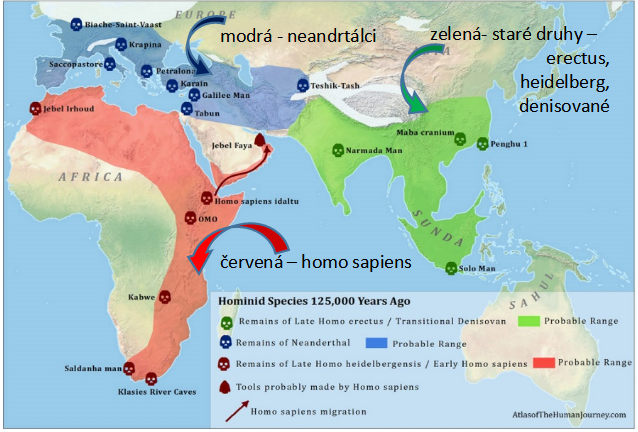 Stav osídlení druhy Homo před 125.000 lety