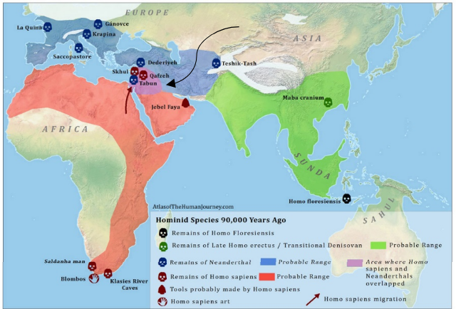 Stav osídlení druhy Homo před 90.000 lety
