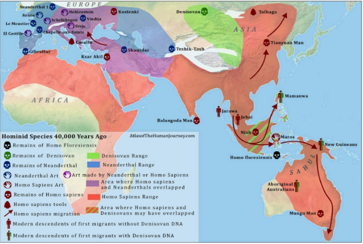 Stav osídlení druhy Homo před 40.000 lety