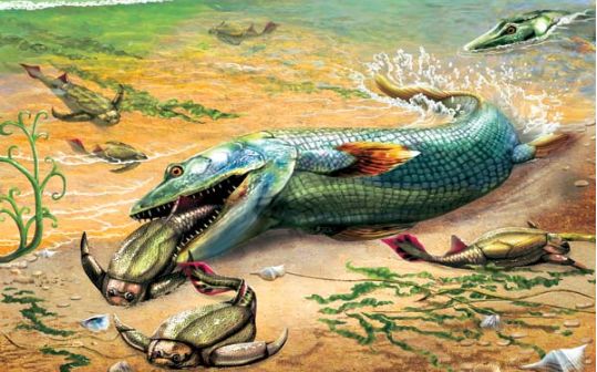 Panderychtis - poslední předchůdce obojživelníků