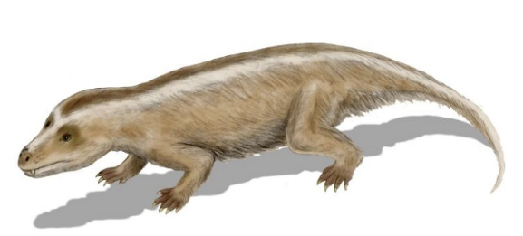 Tritylodon - náš zachránce a první savcovitý předek