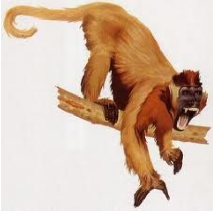 Propliopithecus – raný vývojový stupeň hominoidů