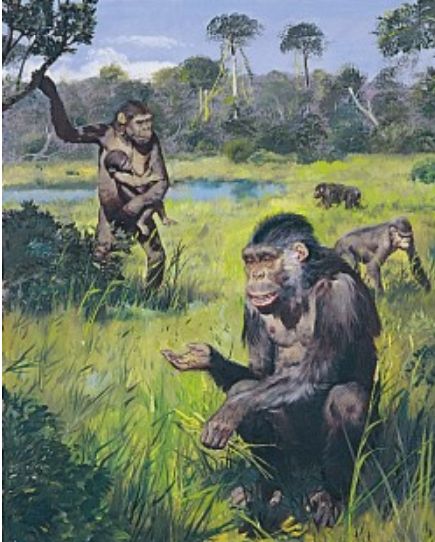 Ramapithecus brevirostris se tu objevil před 14 miliony let