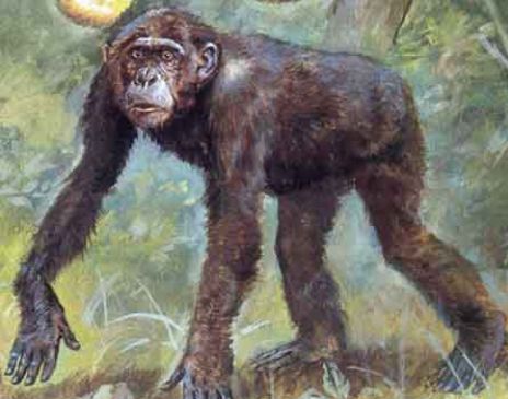 Dryopithecus – třetihorní lidoop podobný šimpanzům